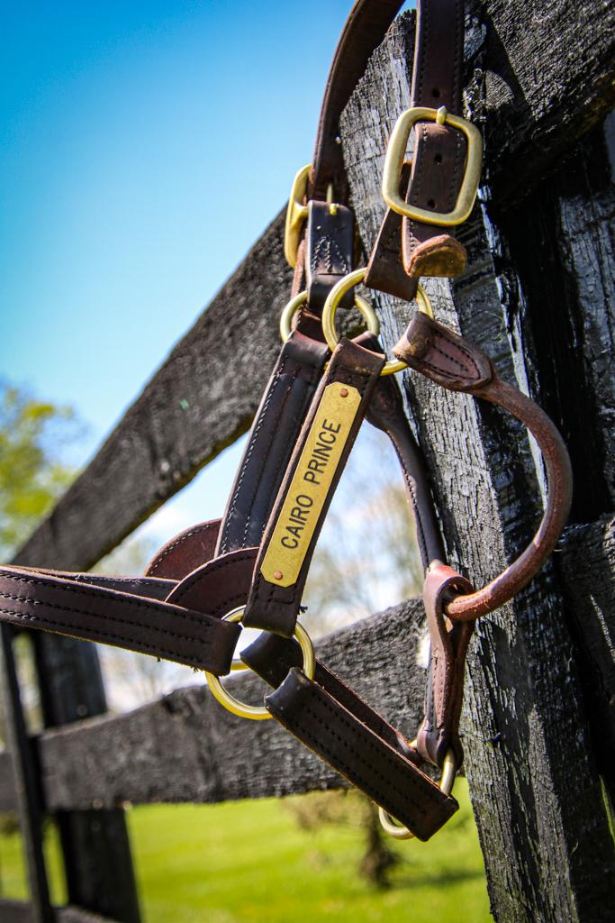 An item for auction at ABR’s Pre-Preakness Party Benefiting Thoroughbred Aftercare. 